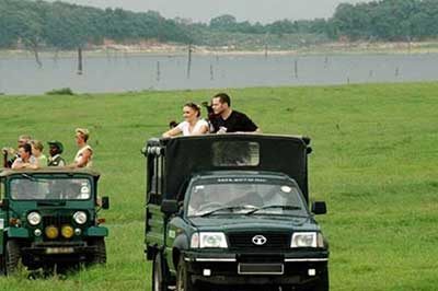 Wilpattu National Park Jeep Safari Tours | chauffeuremillankatours.com