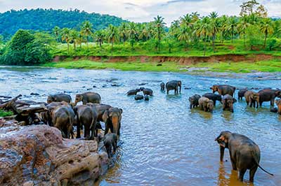 Sri lanka Heritage  tour Package | chauffeuremillankatours.com