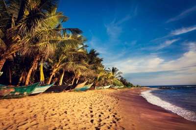 Sri lanka Classic tour package | chauffeuremillankatours.com