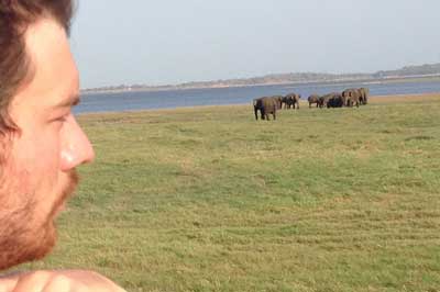 Kaudulla National Park | chauffeuremillankatours.com