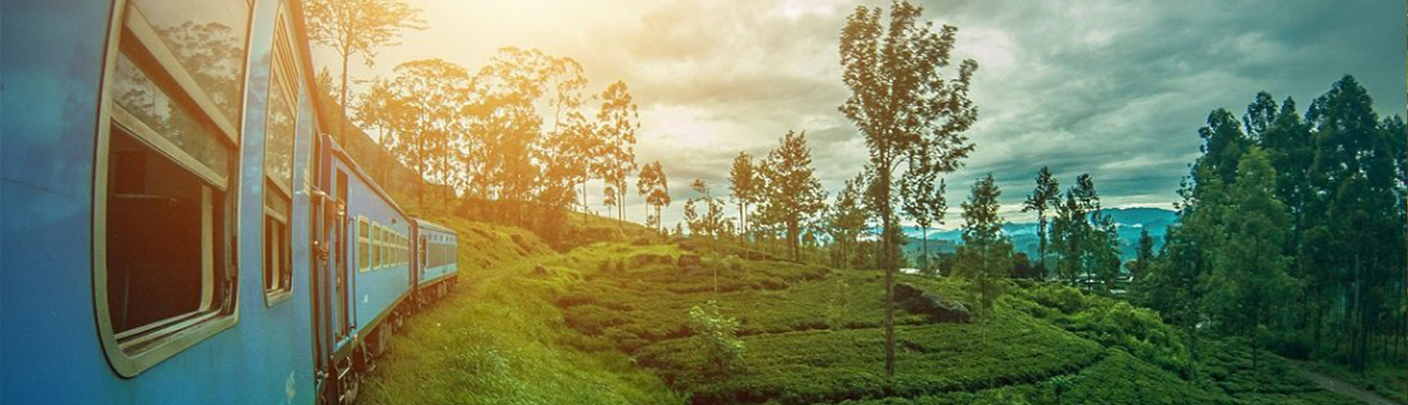 Sri Lanka Culture and Nature Tour | chauffeuremillankatours.com