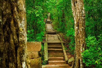 Dambulla | chauffeuremillankatours.com
