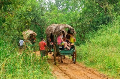 Polonnaruwa Emil Lanka | chauffeuremillankatours.com
