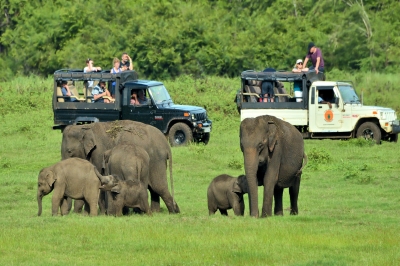 Polonnaruwa Sri Lanka | chauffeuremillankatours.com