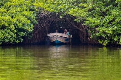 Madu River | chauffeuremillankatours.com
