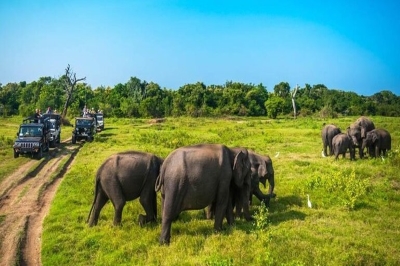 Minneriya Sri Lanka | chauffeuremillankatours.com