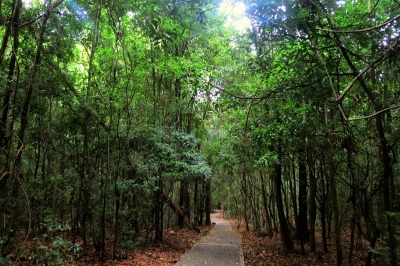 Dambulla | chauffeuremillankatours.com