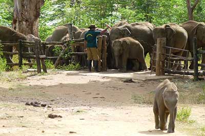 Tangalla Beach Sri Lanka | chauffeuremillankatours.com