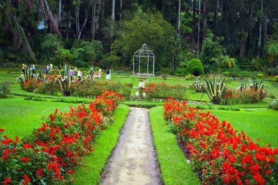 Nuwara Eliya Location | chauffeuremillankatours.com
