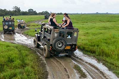 National Park Kaudulla | chauffeuremillankatours.com