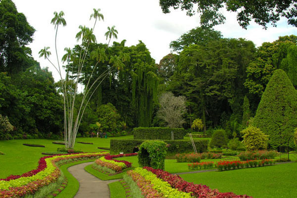 Peradeniya Botanical Garden