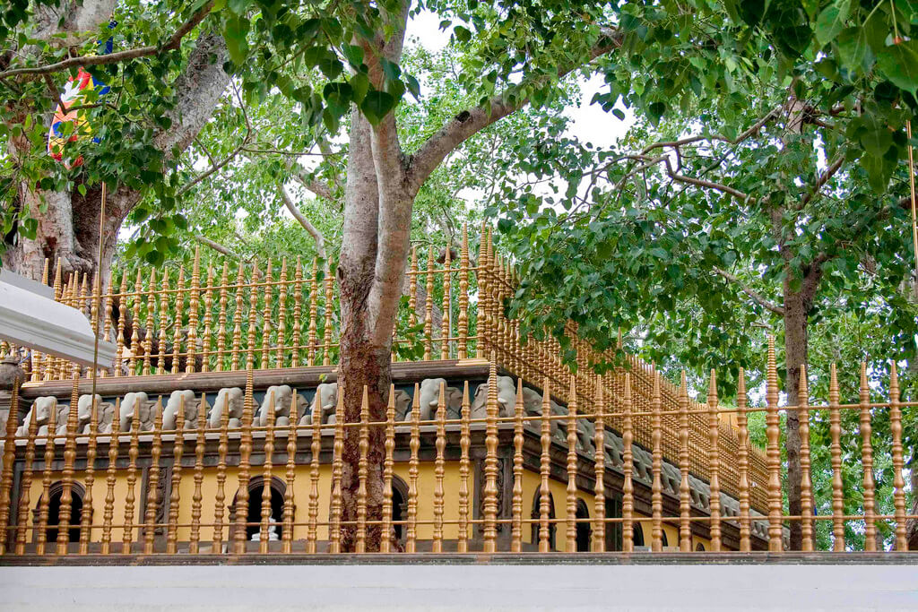 Sigiriya