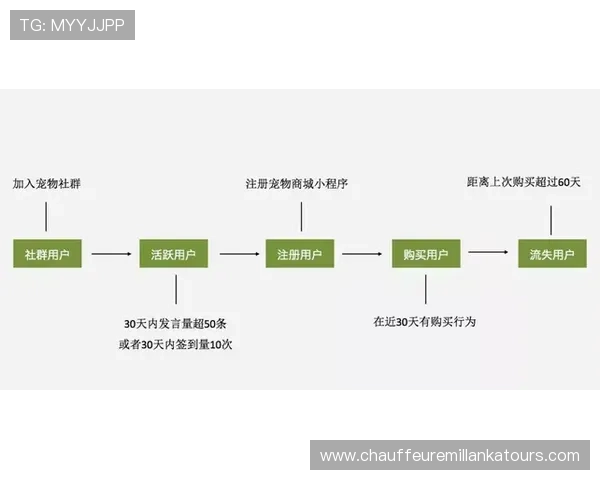 BTI体育登录入口操作流程详解，帮助新手用户快速掌握登录步骤