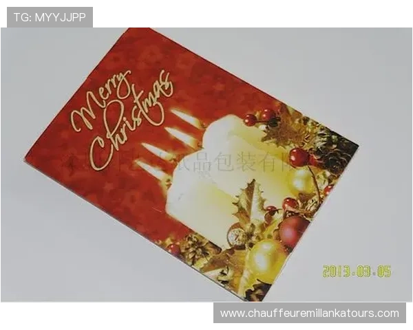 PP电子官网注册流程与账号安全保障措施全面解析指导