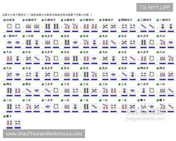 二八杠规则详解:帮助玩家理解游戏规则、掌握技巧实现稳步赢利 二八杠规则详解:帮助玩家理解游戏规则、掌握技巧实现稳步赢利