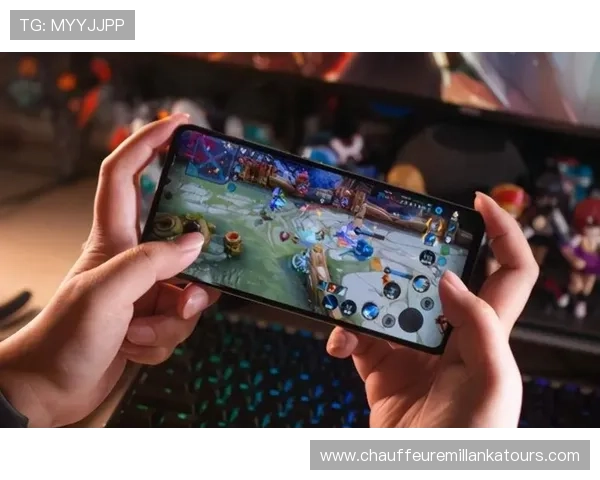 如何快速安全地完成bwin登录流程确保账户信息安全与游戏畅玩