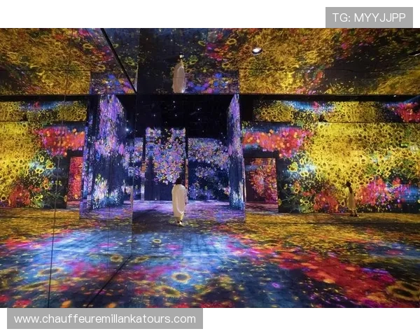 张富贵燕云十六声：分析游戏玩法策略与角色互动机制带来的沉浸式体验