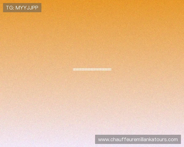 摩洛哥球迷围巾的历史背景与在世界杯中的象征意义解析
