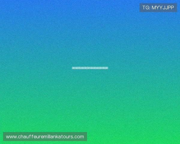 海地队主帅赛前发言展现信心期待在世界杯中取得突破 海地队主帅赛前发言展现信心期待在世界杯中取得突破